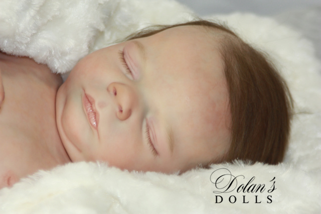 levi14.jpg  by Kathleen Moller-3131