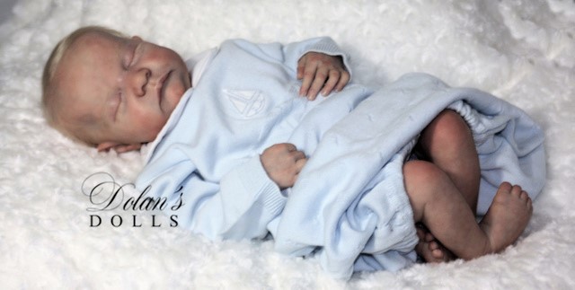 levi7.jpg  by Kathleen Moller-3131