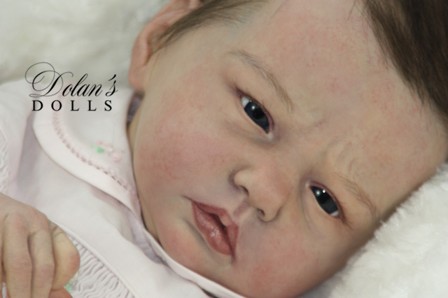 levi12.jpg  by Kathleen Moller-3131