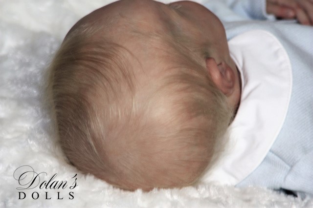 levi16.jpg  by Kathleen Moller-3131