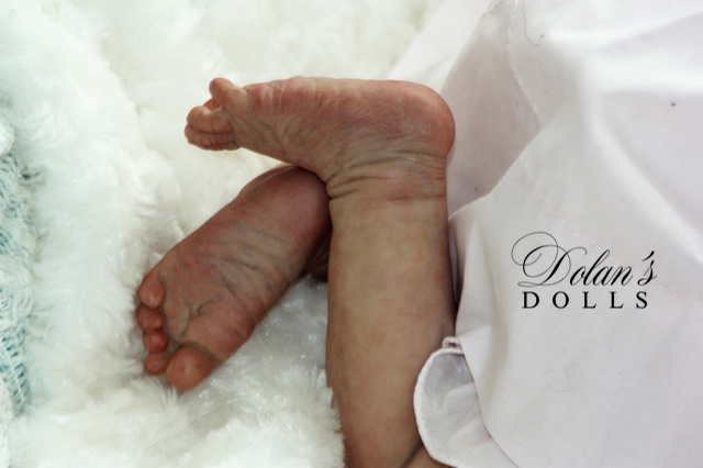 levi14.jpg  by Kathleen Moller-3131