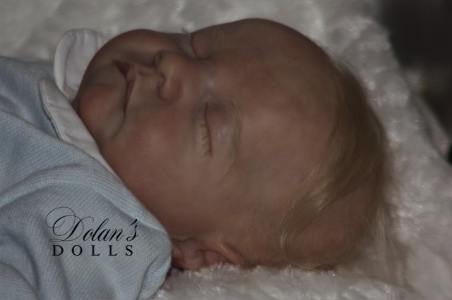 levi13.jpg  by Kathleen Moller-3131