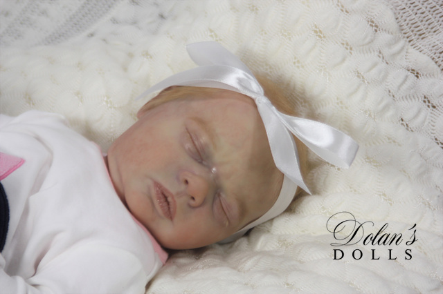 levi14.jpg  by Kathleen Moller-3131