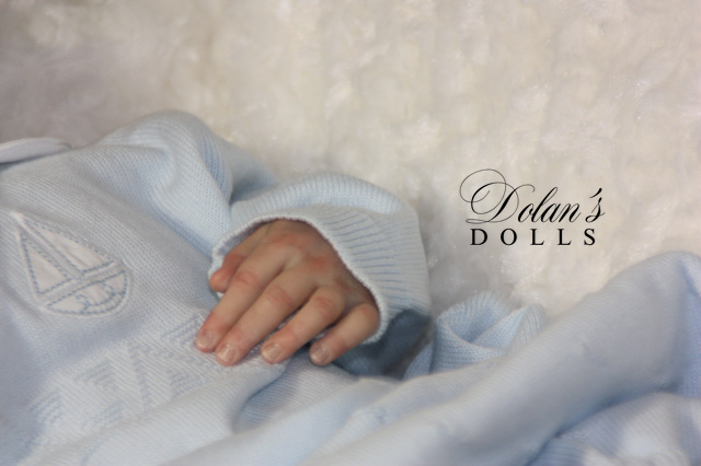 levi19.jpg  by Kathleen Moller-3131