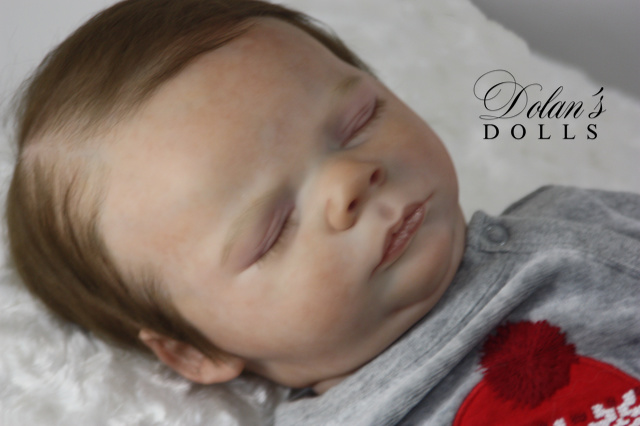 levi7.jpg  by Kathleen Moller-3131