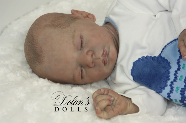 levi24.jpg  by Kathleen Moller-3131