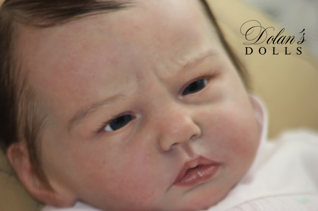 levi2.jpg  by Kathleen Moller-3131