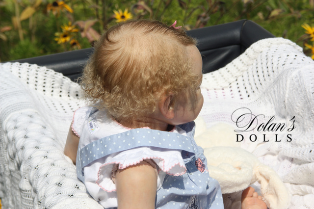 levi8.jpg  by Kathleen Moller-3131