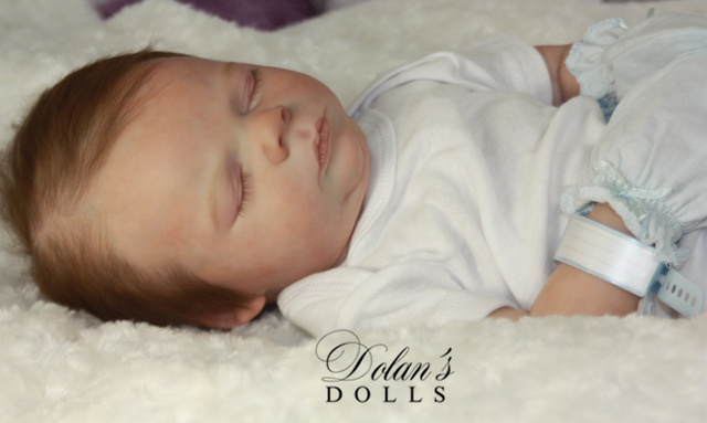 levi19.jpg  by Kathleen Moller-3131