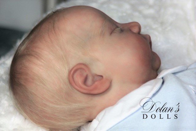 levi18.jpg  by Kathleen Moller-3131