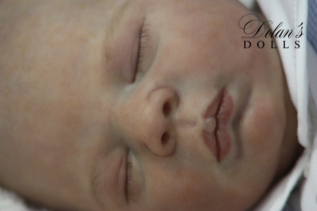 levi13 (1).jpg  by Kathleen Moller-3131