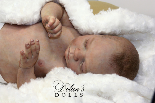 levi2 (1).jpg  by Kathleen Moller-3131