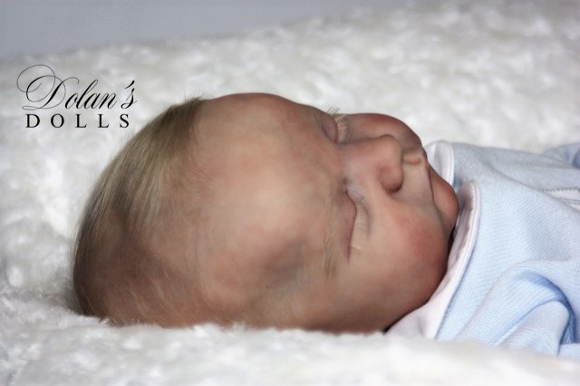 levi8.jpg  by Kathleen Moller-3131