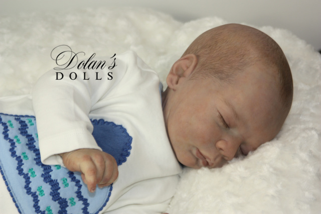 levi19 (1).jpg  by Kathleen Moller-3131