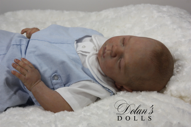 levi6 (1).jpg  by Kathleen Moller-3131