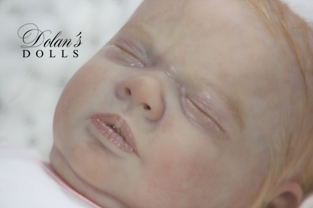 levi16.jpg  by Kathleen Moller-3131