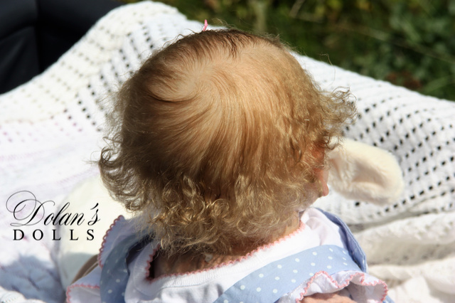 levi7.jpg  by Kathleen Moller-3131