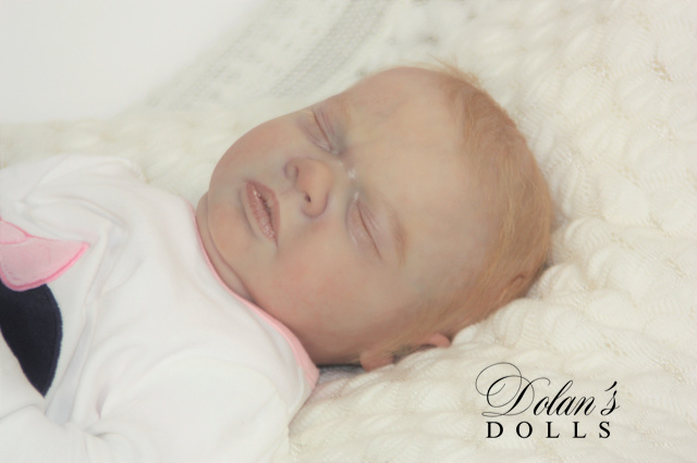 levi12.jpg  by Kathleen Moller-3131