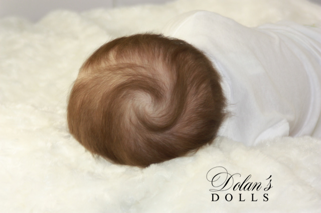 levi24.jpg  by Kathleen Moller-3131