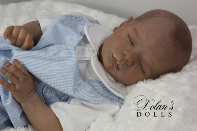 levi11 (1).jpg  by Kathleen Moller-3131