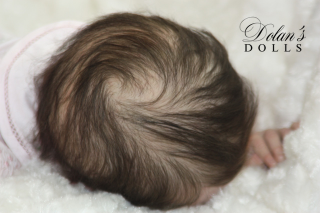 levi15.jpg  by Kathleen Moller-3131