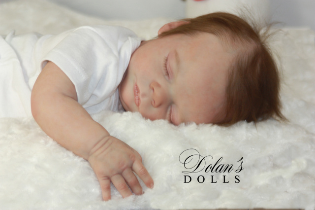 levi25.jpg  by Kathleen Moller-3131