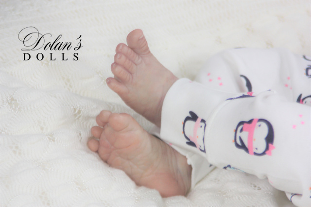 levi17.jpg  by Kathleen Moller-3131