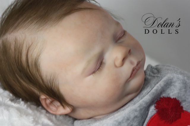 levi3.jpg  by Kathleen Moller-3131