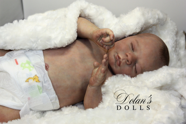 levi3 (1).jpg  by Kathleen Moller-3131