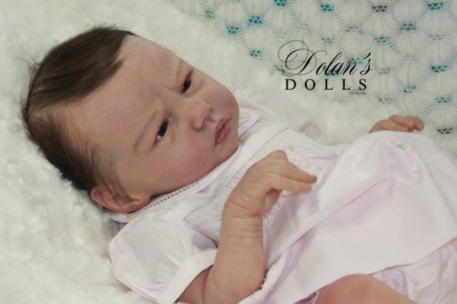 levi8.jpg  by Kathleen Moller-3131