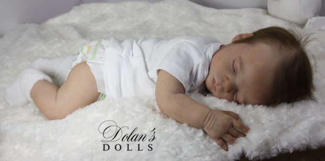 levi31.jpg  by Kathleen Moller-3131