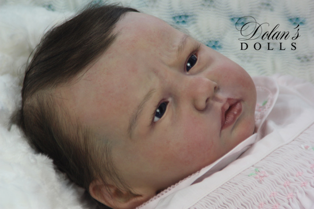 levi6.jpg  by Kathleen Moller-3131