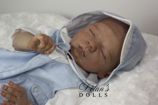 levi15 (1).jpg  by Kathleen Moller-3131