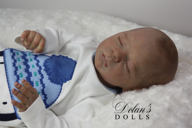 levi18 (1).jpg  by Kathleen Moller-3131