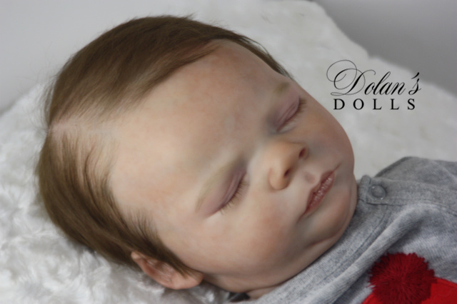 levi6.jpg  by Kathleen Moller-3131