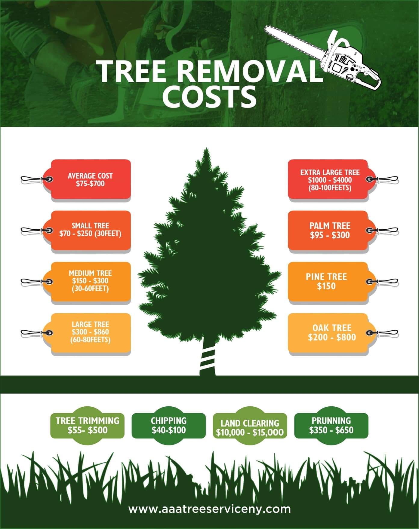 Tree cutting service https://www.aaatreeserviceny.com/tree-removal-average-cost-estimate/

AAA tree service provide best tree services any local town of nassau county long island suffolk county best tree services estimate in tree removal services hedges trimming our company by Treeservicenearme