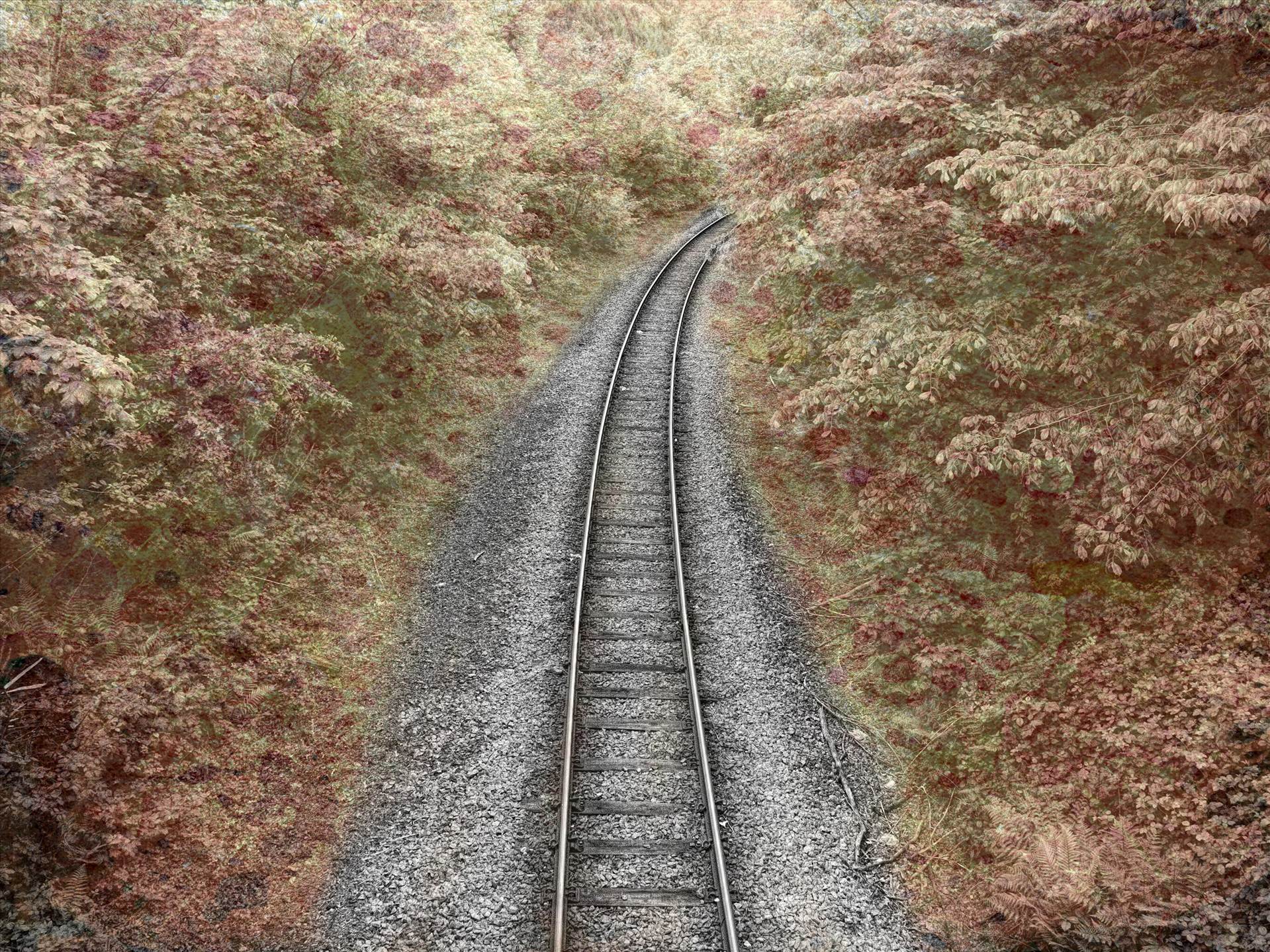 rails.jpg undefined by WPC-208
