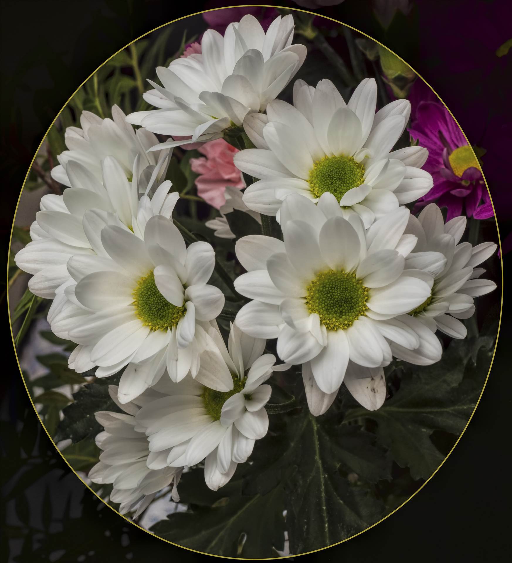 Chrysanthemum arrangement.jpg undefined by WPC-208
