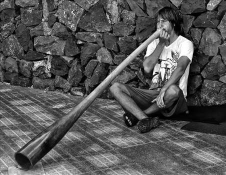 didgeridoo .JPG - undefined