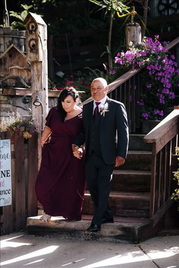 DSC_7123.JPG by MrandMrsNavarro