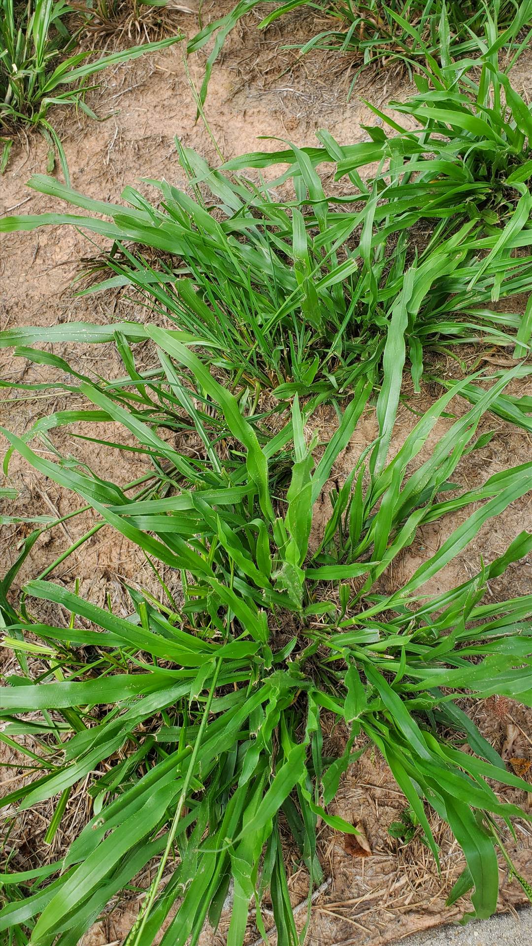 20250716_160729.jpg  by quartus