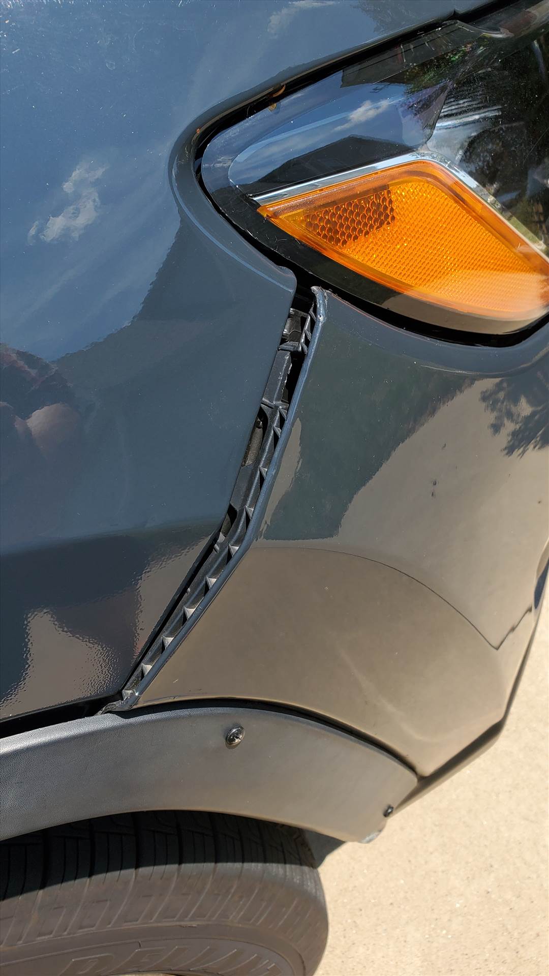 20250726_130320.jpg  by quartus