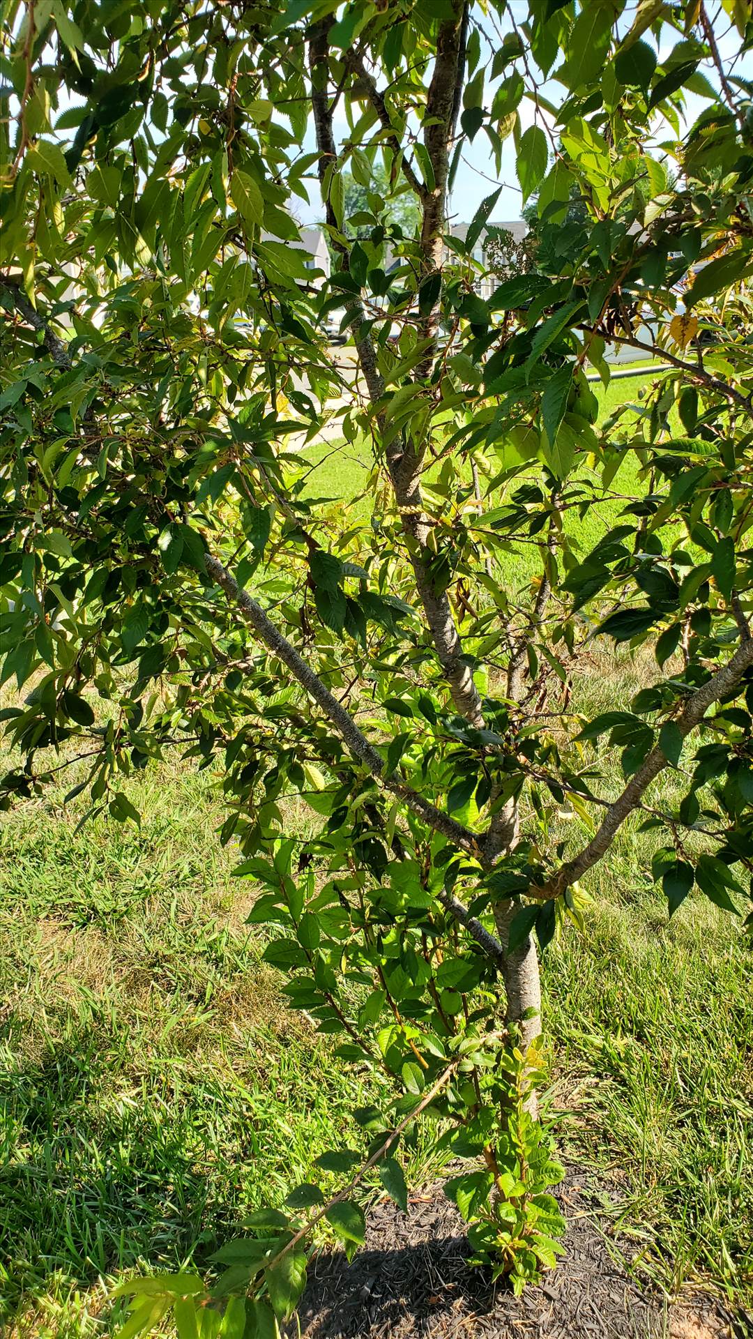 20250726_101220.jpg  by quartus