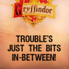Gryffindor-gryffindor-20864521-100-100.gif  by Charbonne