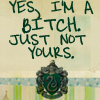 slytherin__rules_by_Mazza_909_zps6e184ce1.png  by Charbonne