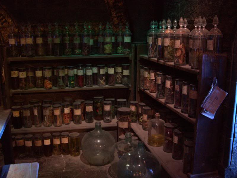 the_potions_classroom_1_by_hellonlegs-d5r4rjo.jpg  by Charbonne