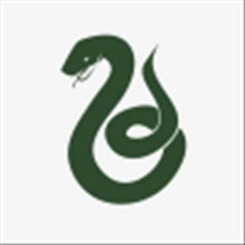 Slytherin-Icons-slytherin-24057966-100-100.png - 