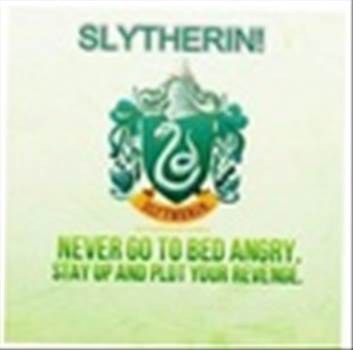 what-all-Slytherin-should-know-slytherin-31471405-100-99.jpg - 