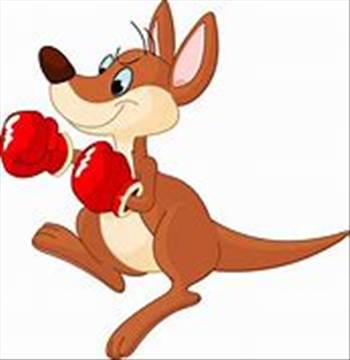 boxing Kangaroo 1.jpg - 