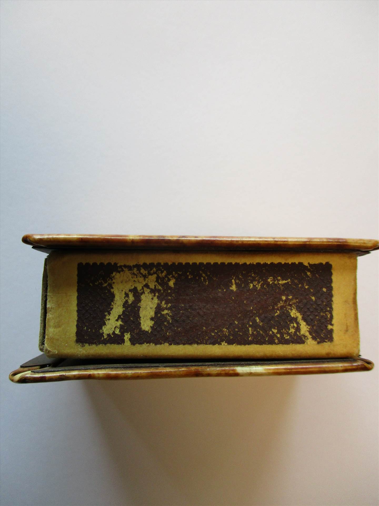 IMG_2946.JPG  by Mike Corless